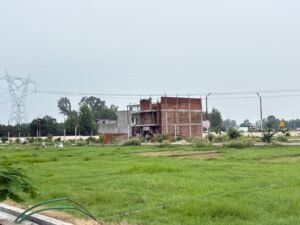 img 8948.jpg